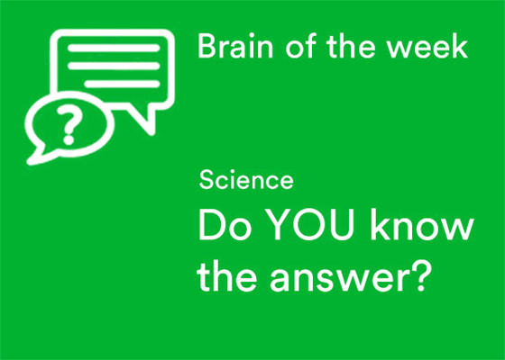 Brain of the week Science
